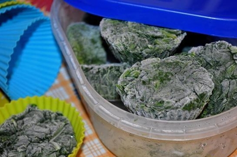 cây me chua đông lạnh