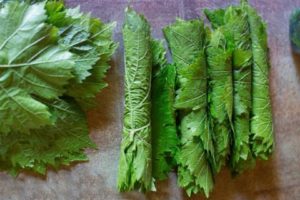 Receitas de folhas de uva enlatadas Dolma