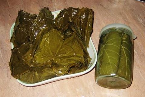 palieka dolma