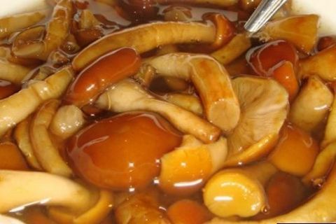 μανιτάρια με μέλι σε σάλτσα