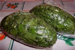 Die besten Rezepte, wie man Sauerampfer für den Winter für die Suppe richtig einfriert