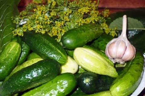 cetrioli in scatola malvagi con vodka su un piatto