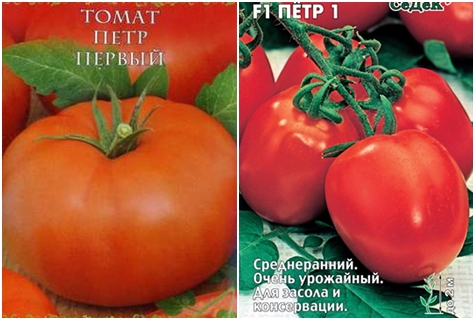 pomidorų sėklos nuluptos pirmosios