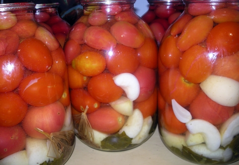 Tomaten mit Apfelessig in Gläsern