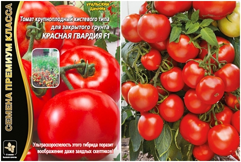 tomato seeds red guard