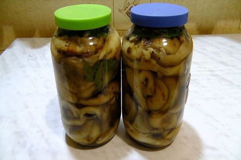 الفطر الحليب في البنوك