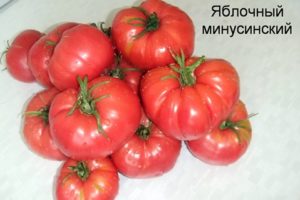 Đặc điểm và mô tả các giống cà chua có năng suất