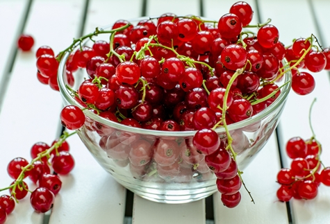 rote Johannisbeeren in einer Schüssel
