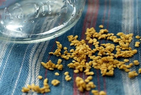 seed preparation
