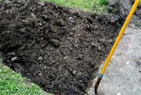 soil preparation