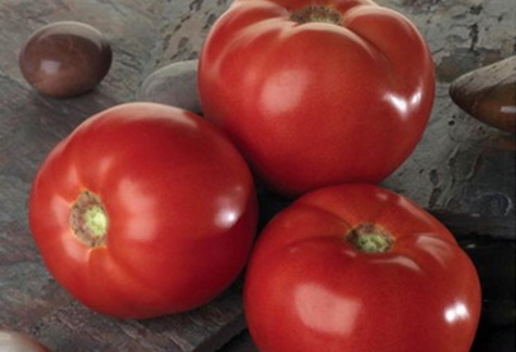 Tomates Bella Rosa sur la table