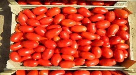 кутия домат