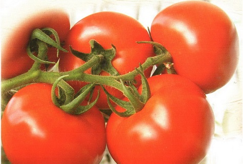 hybrid varieties