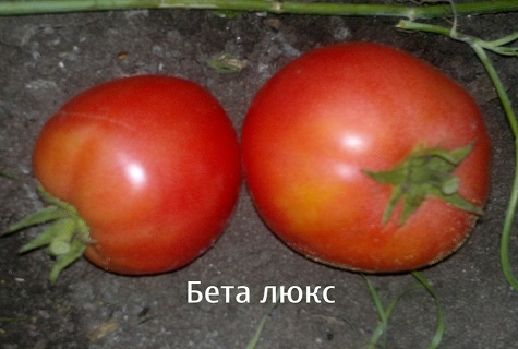 два домата