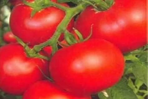 пет домата