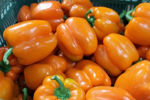 Pfeffer Orangen Wunder