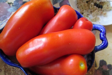 Schüssel Tomaten