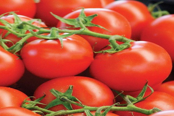 les agriculteurs adorent