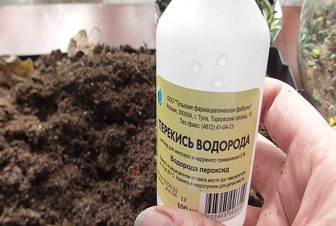 хранят земята