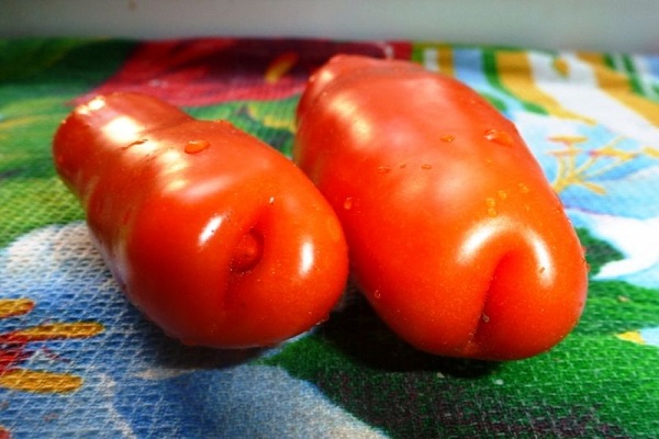 fruktbar variation