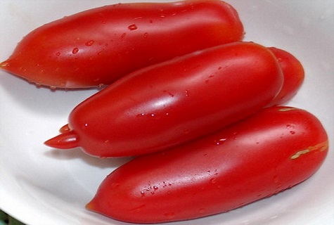 نصائح على طبق