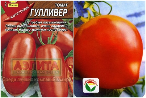 доматено семе гуливер