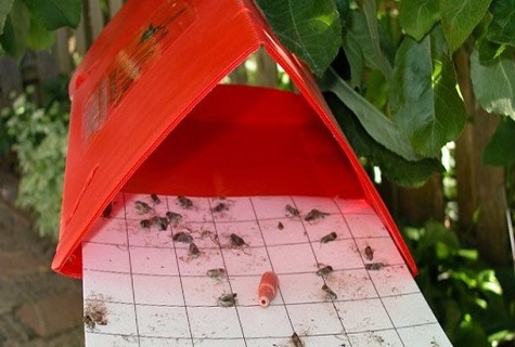 rotes Haus