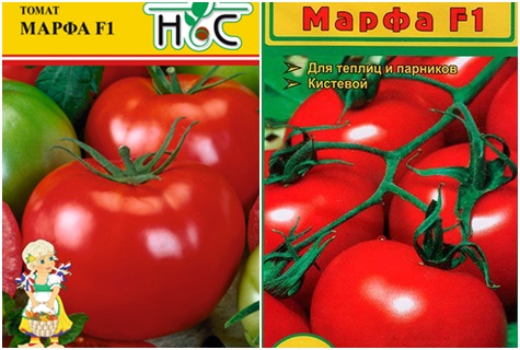 доматени семена Марта F1