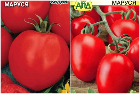 доматени семена маруся