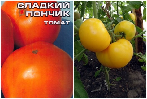 بذور الطماطم الحلو دونات