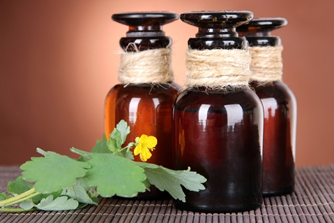 celandine buljong