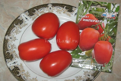 семена в чиния