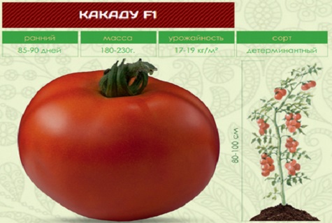 Кратко описание