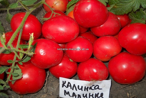 Калинка Малинка