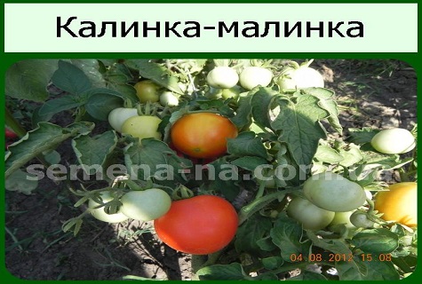 пример за зрялост