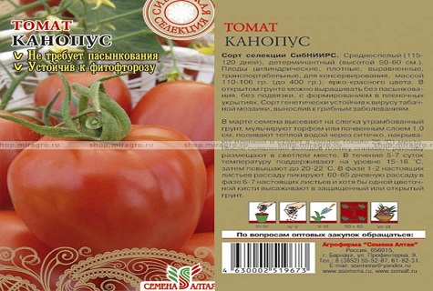 kanopus tohumları