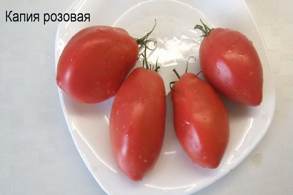 бяла повърхност