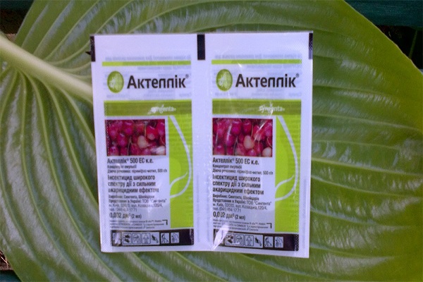 actellika på ett ark