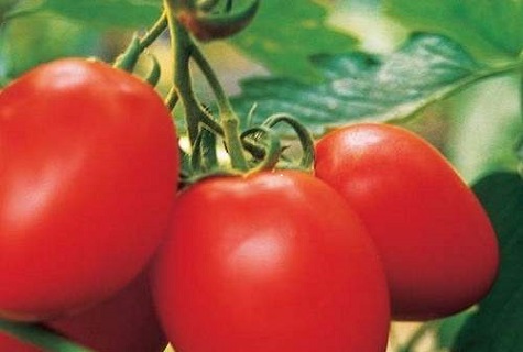 احضر الخضار