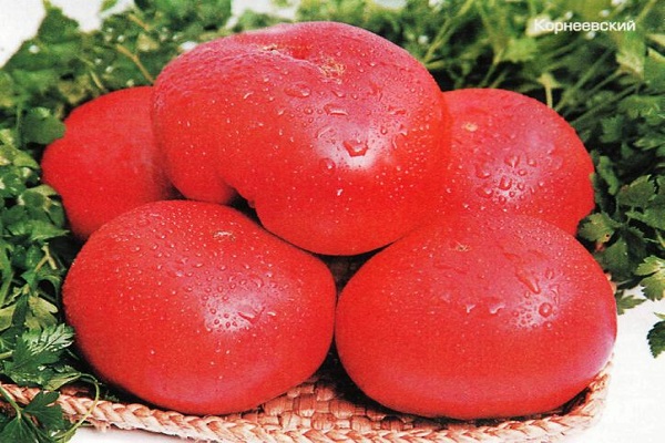 Kondensation auf Tomaten