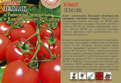 семена от домати Countryman