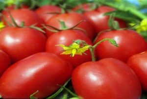 Description and characteristics of tomato variety Honey cream
