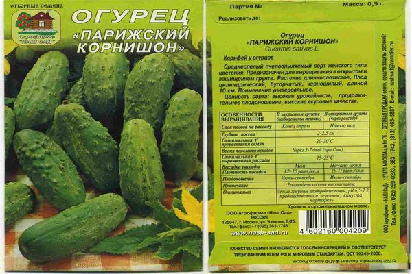 semi di cetriolo
