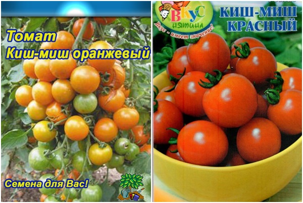 семена от домати Kish mish