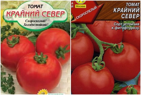 семена от домати далеч на север