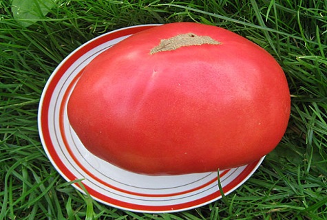 trên toàn bộ đĩa