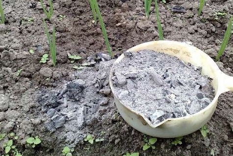 cinza como fertilizante