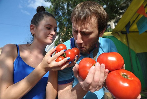 домат миризма
