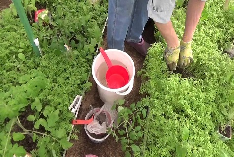 im Garten arbeiten