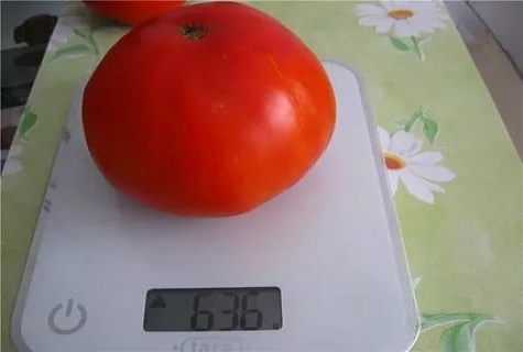 маса и везни